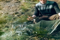 33