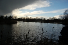 DSC_1954